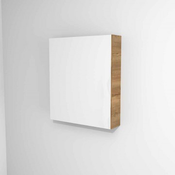 Hanging cabinet with mirror...
